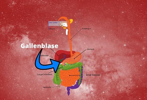 Gallenblase entfernt: Gewichtszunahme - Normal?