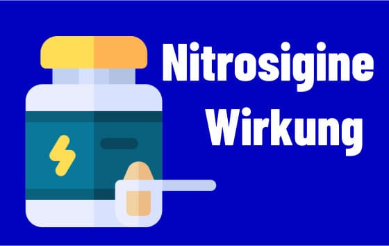 Nitrosigine Wirkung