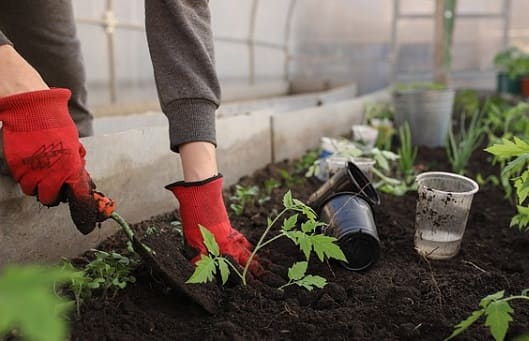 Warum ist Gartenpflege wichtig