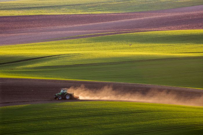 In der Landwirtschaft