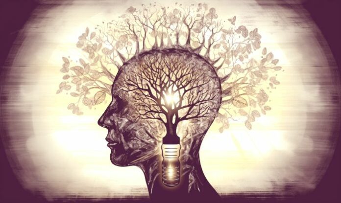 Psilocybin Therapie