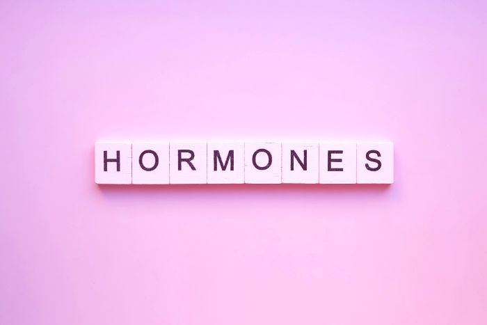 Hormonelle Faktoren - Schwanger werden