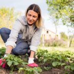 Gemüse im eigenen Garten richtig planen