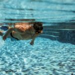 Warum soll man nicht mit vollem Magen schwimmen